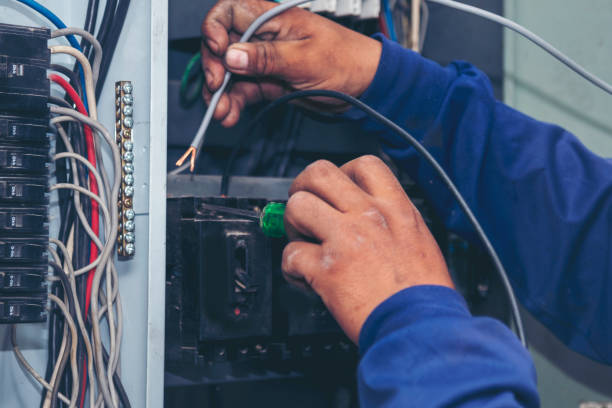 Best Ceiling Fan Installation Electrician  in Maxwell, CA